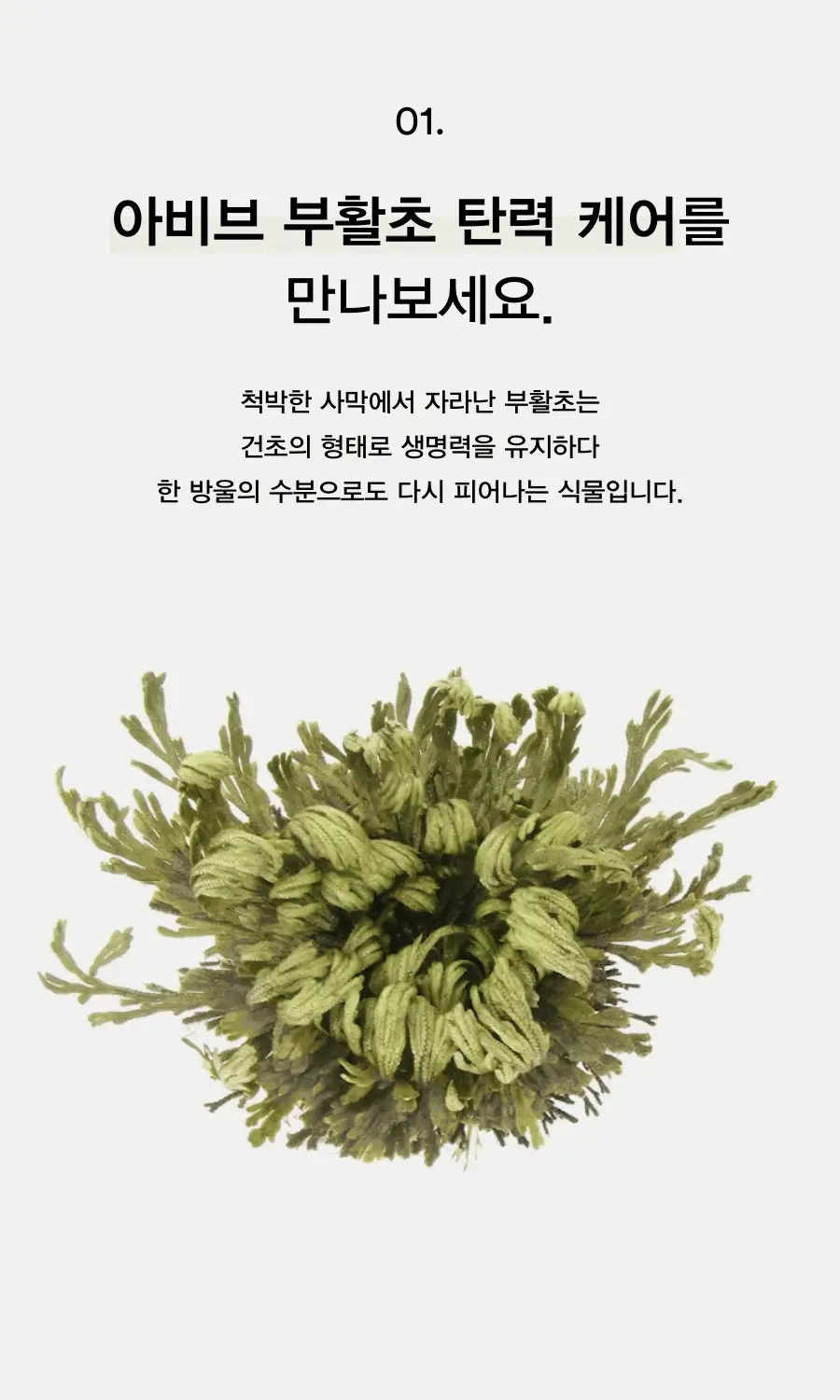 [토탈주름케어] 아비브 콜라겐 아이크림 부활초 튜브 30ml 상세페이지 3